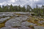 Getaberg Nature Trail
