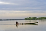 River Gambia National Park
