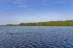 Saloum Delta
