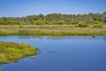 Yanchep National Park
