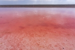 Hutt Lagoon Pink Lake
