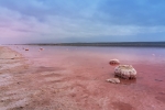 Hutt Lagoon Pink Lake
