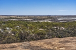 Wave Rock
