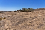 Wave Rock
