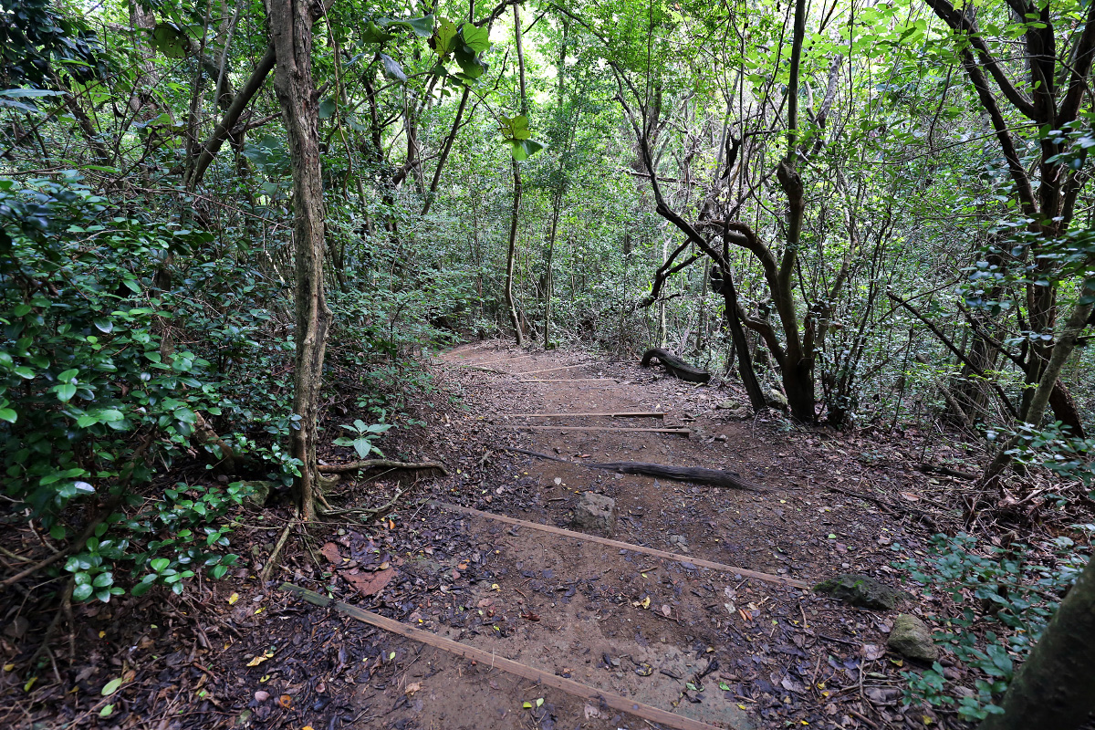 Caravelle Penninsula