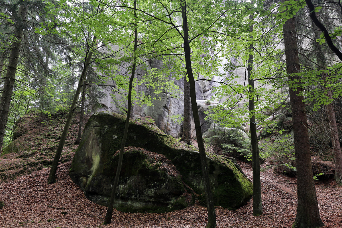 Adrspach-Teplice Rocks