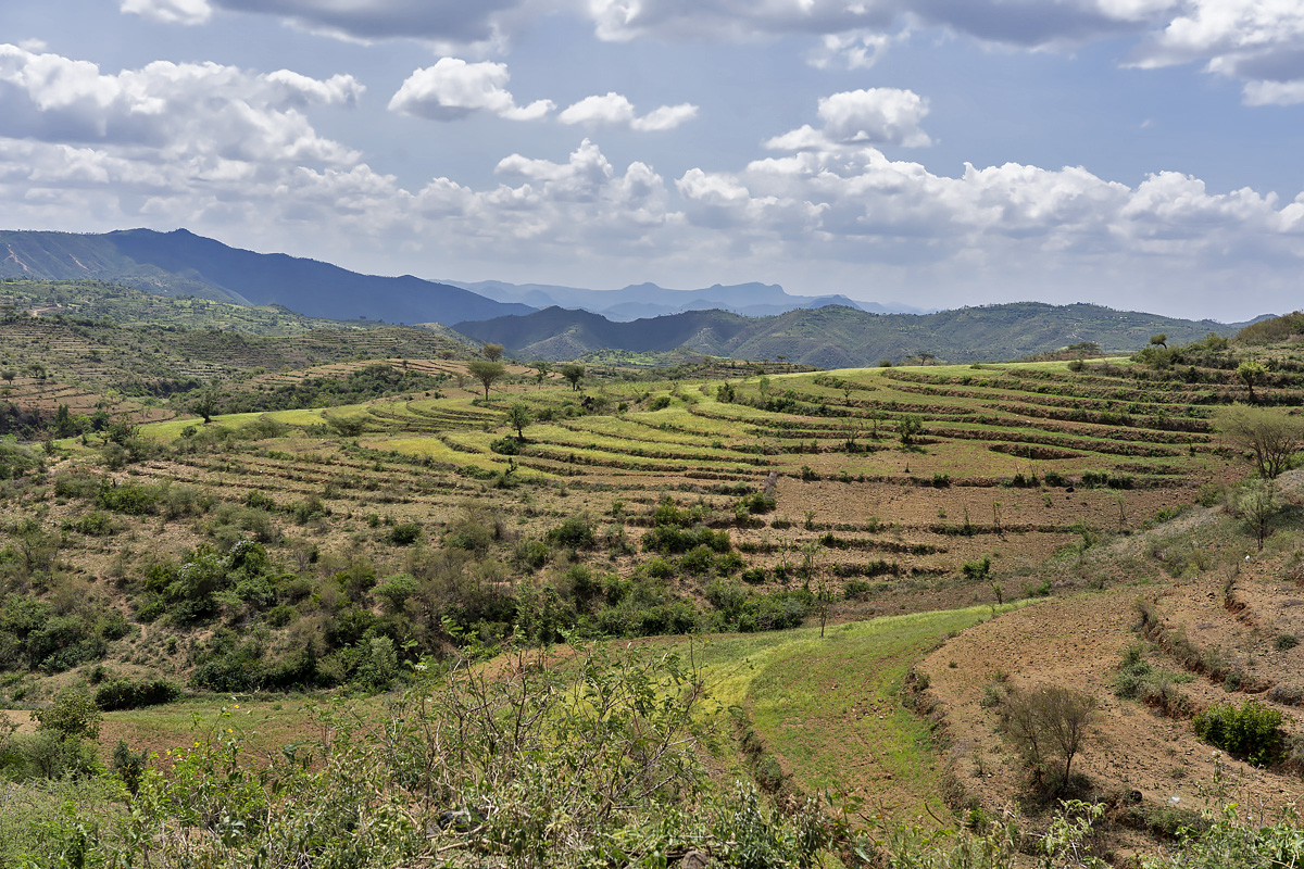 Konso Cultural Landscape