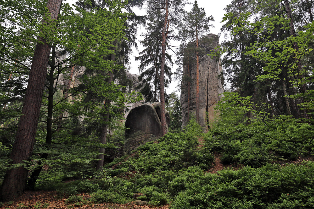 Adrspach-Teplice Rocks