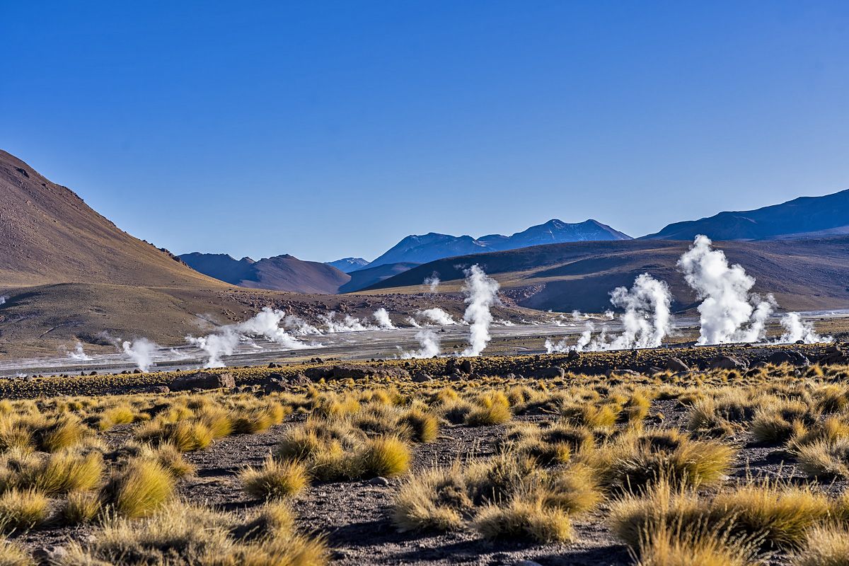 Geysir del Tatio