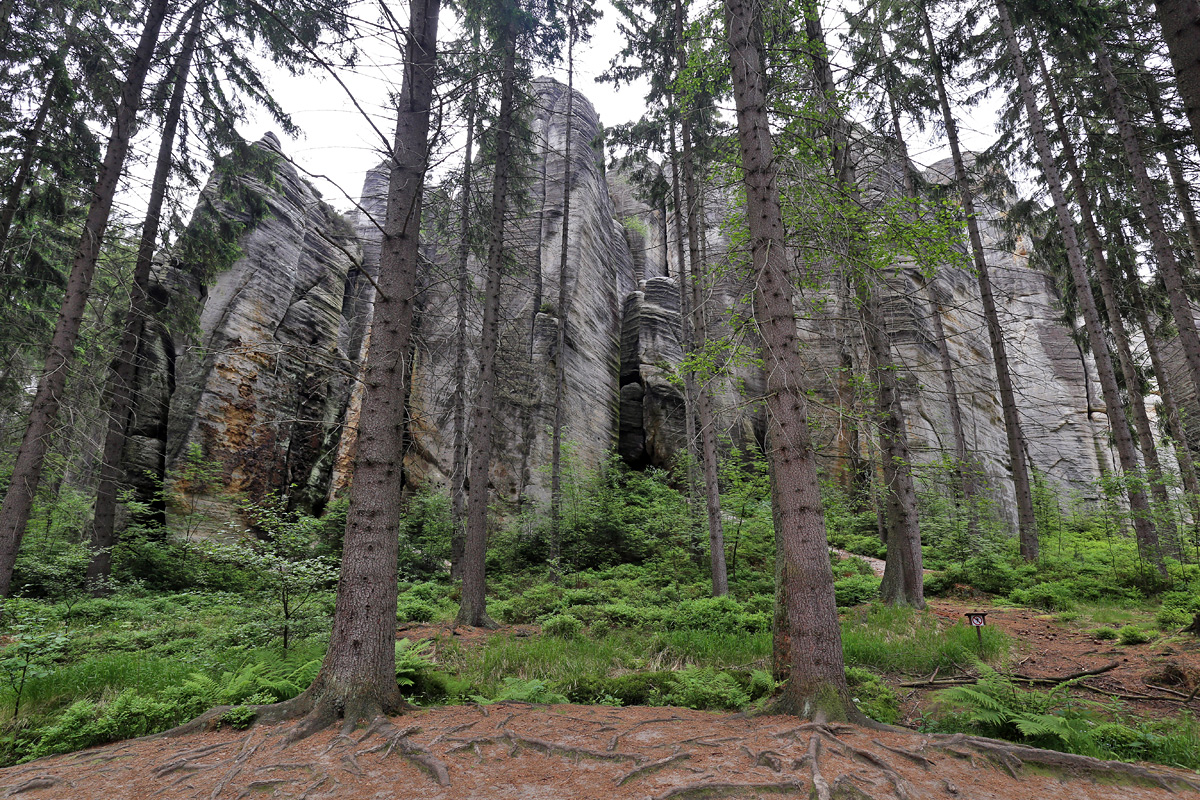 Adrspach-Teplice Rocks