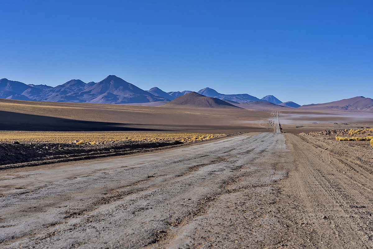 Geysir del Tatio