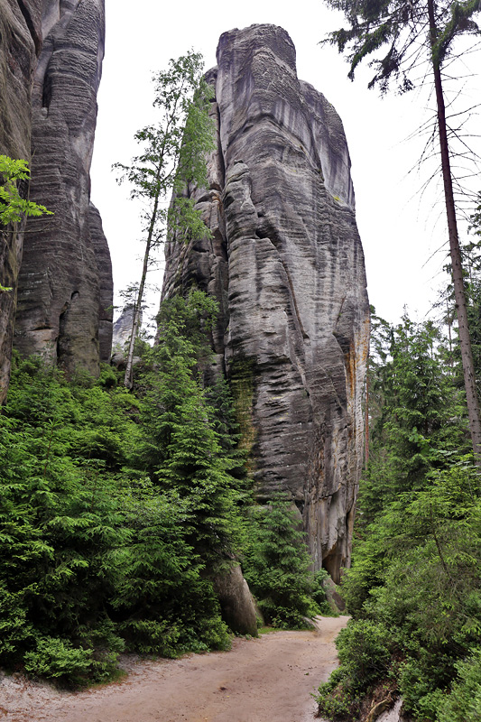 Adrspach-Teplice Rocks