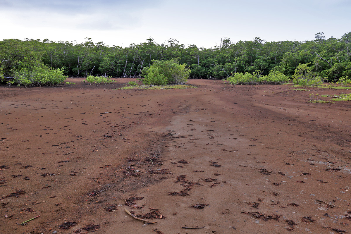 Caravelle Penninsula