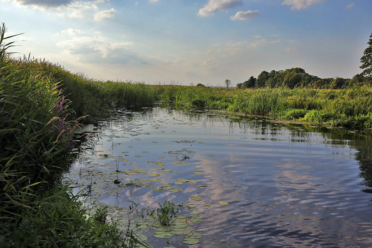 Narew National Park