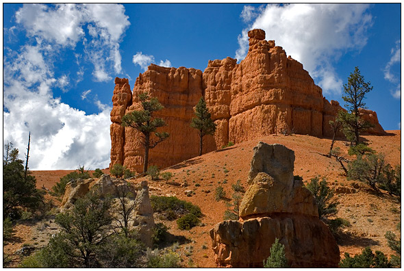 Bryce National Park