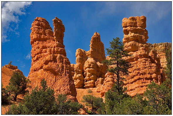 Bryce National Park