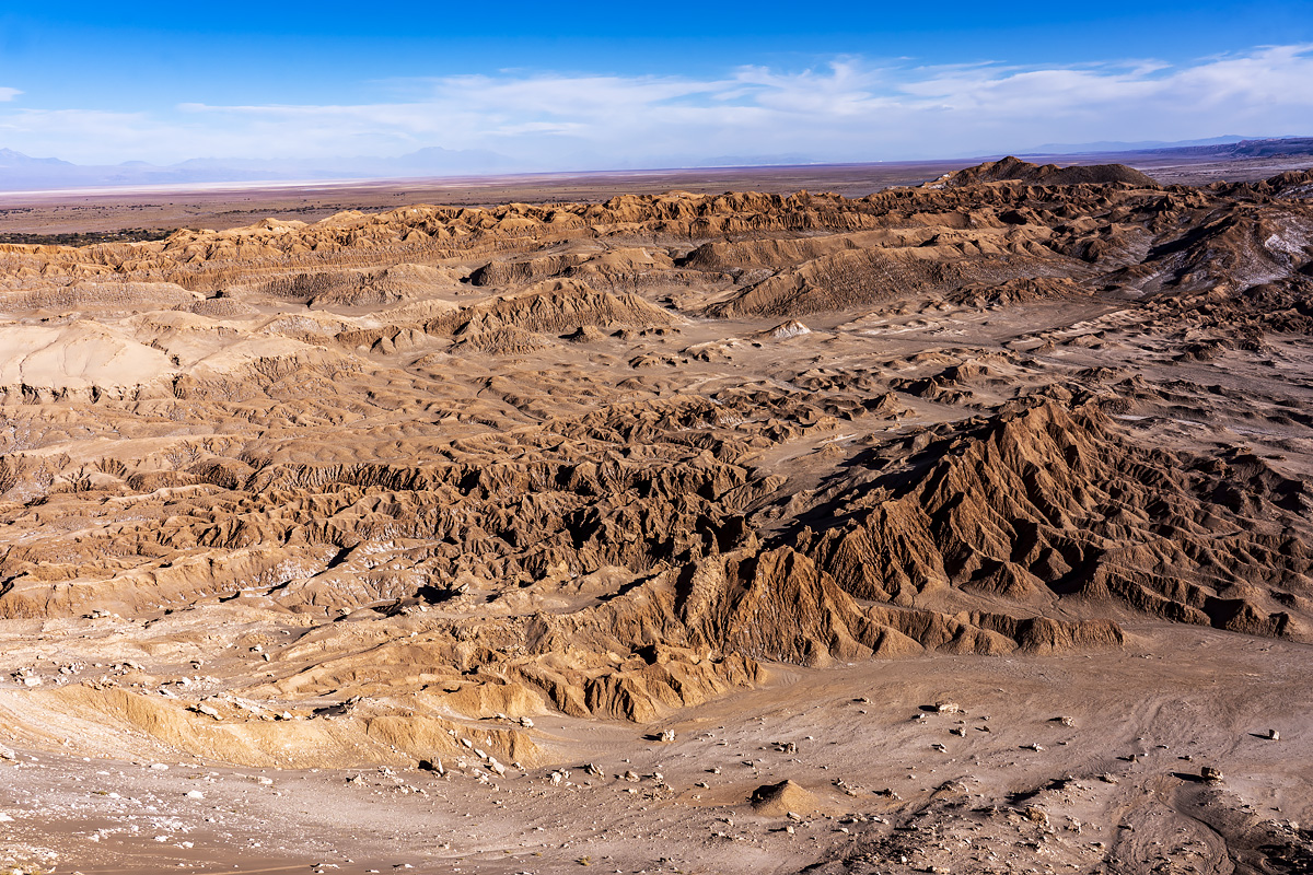 Mirador del Coyote