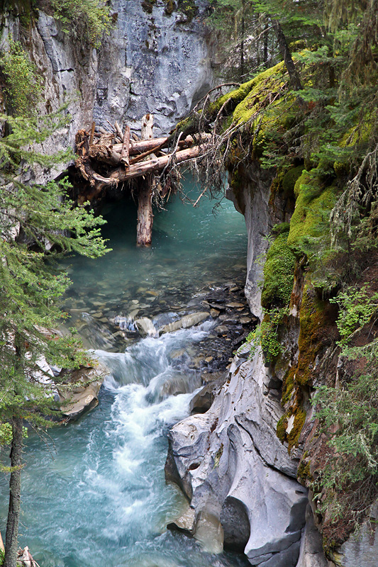 Banff National Park - Johnston Canyon