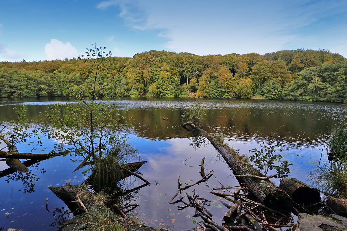 Jasmund National Park