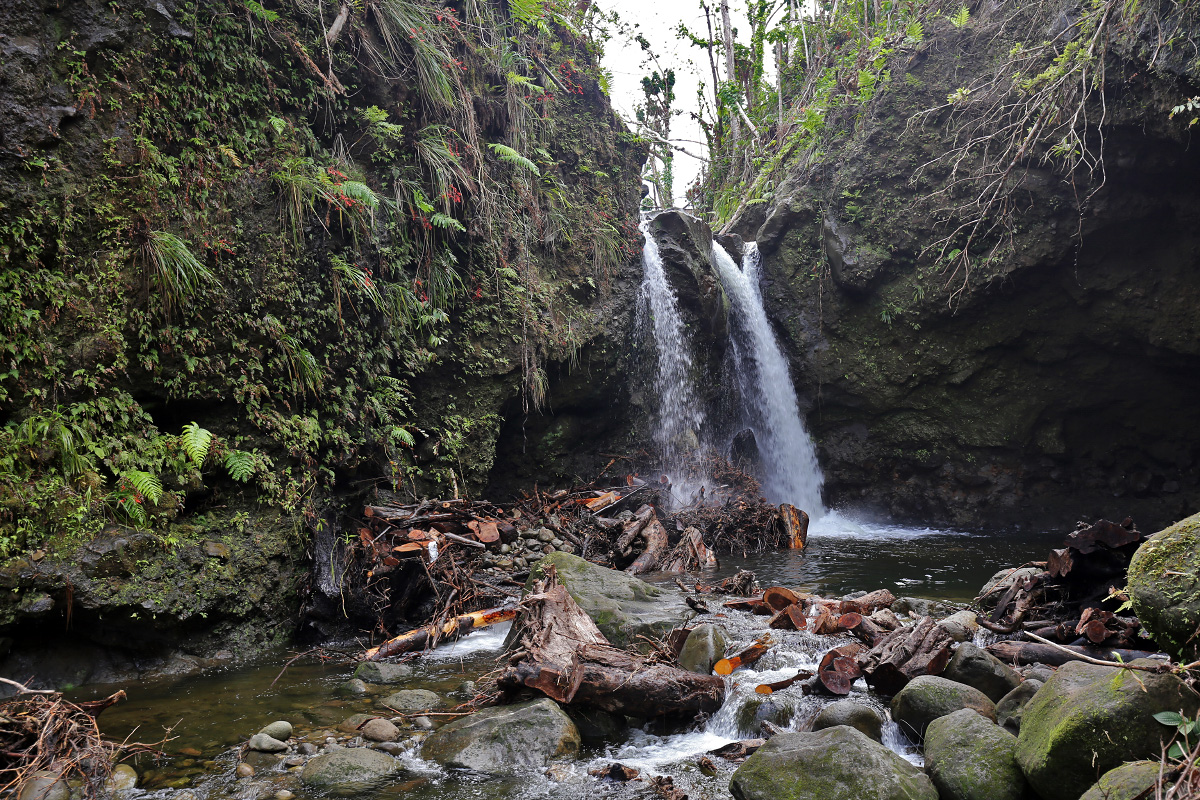 Jacko Falls