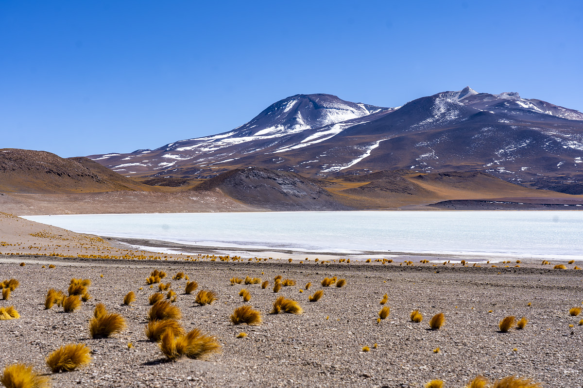 lagoon Tuyajto