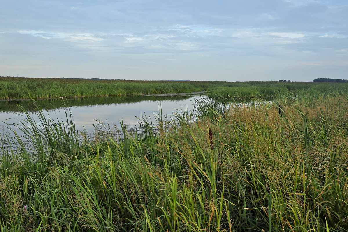 Narew National Park