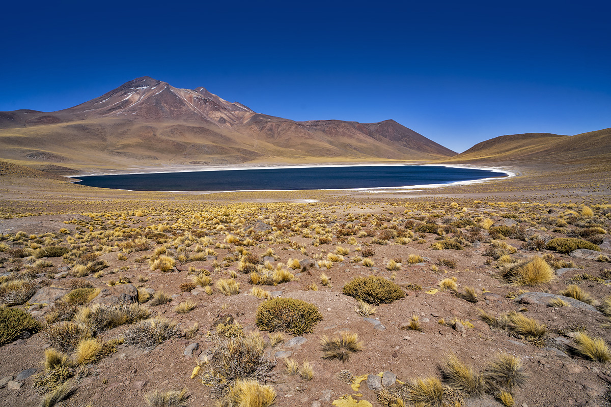lagoon Miscanti