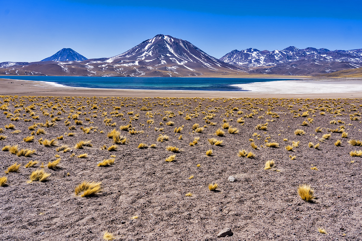 lagoon Miscanti