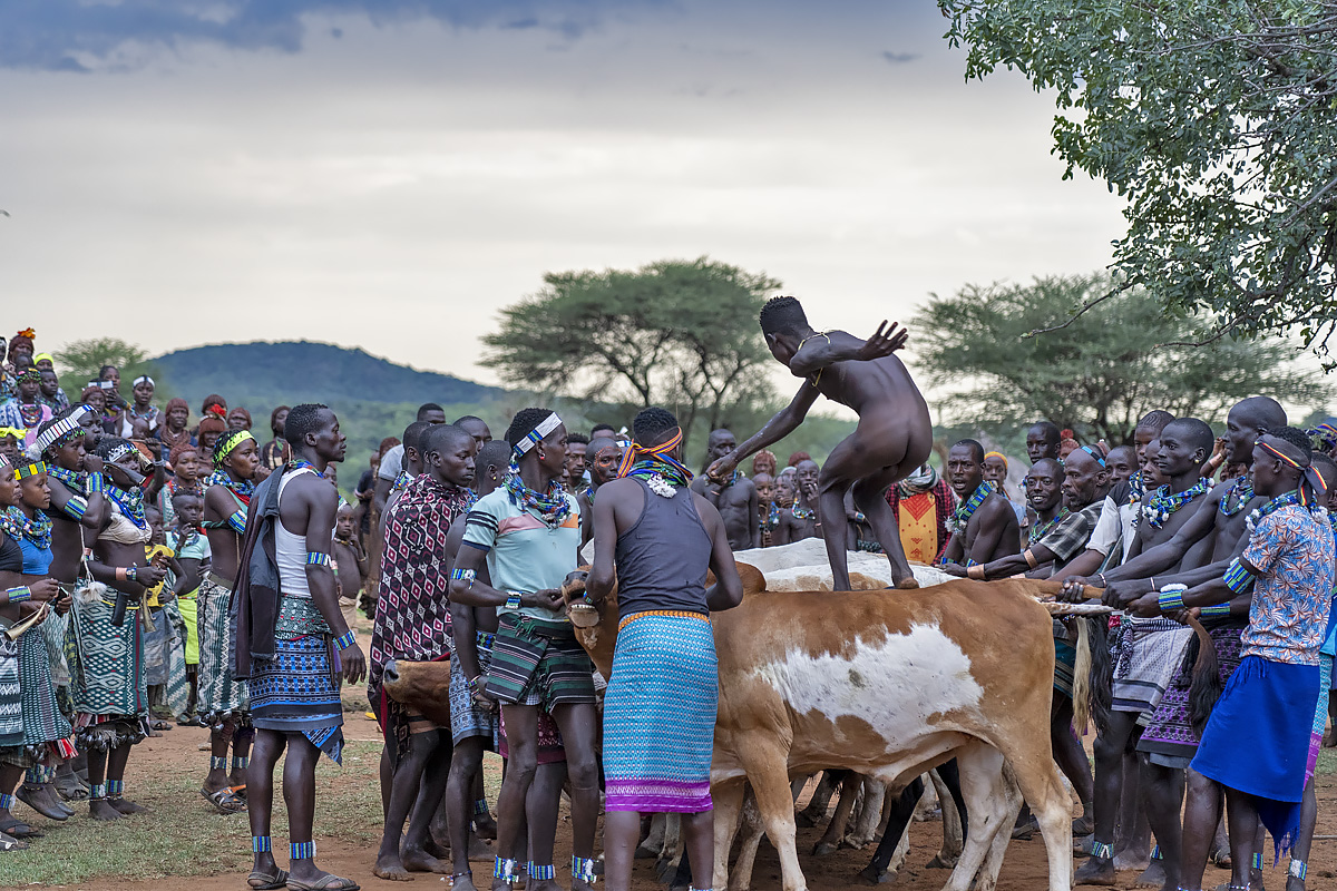 Hamer - bull jumping ceremony