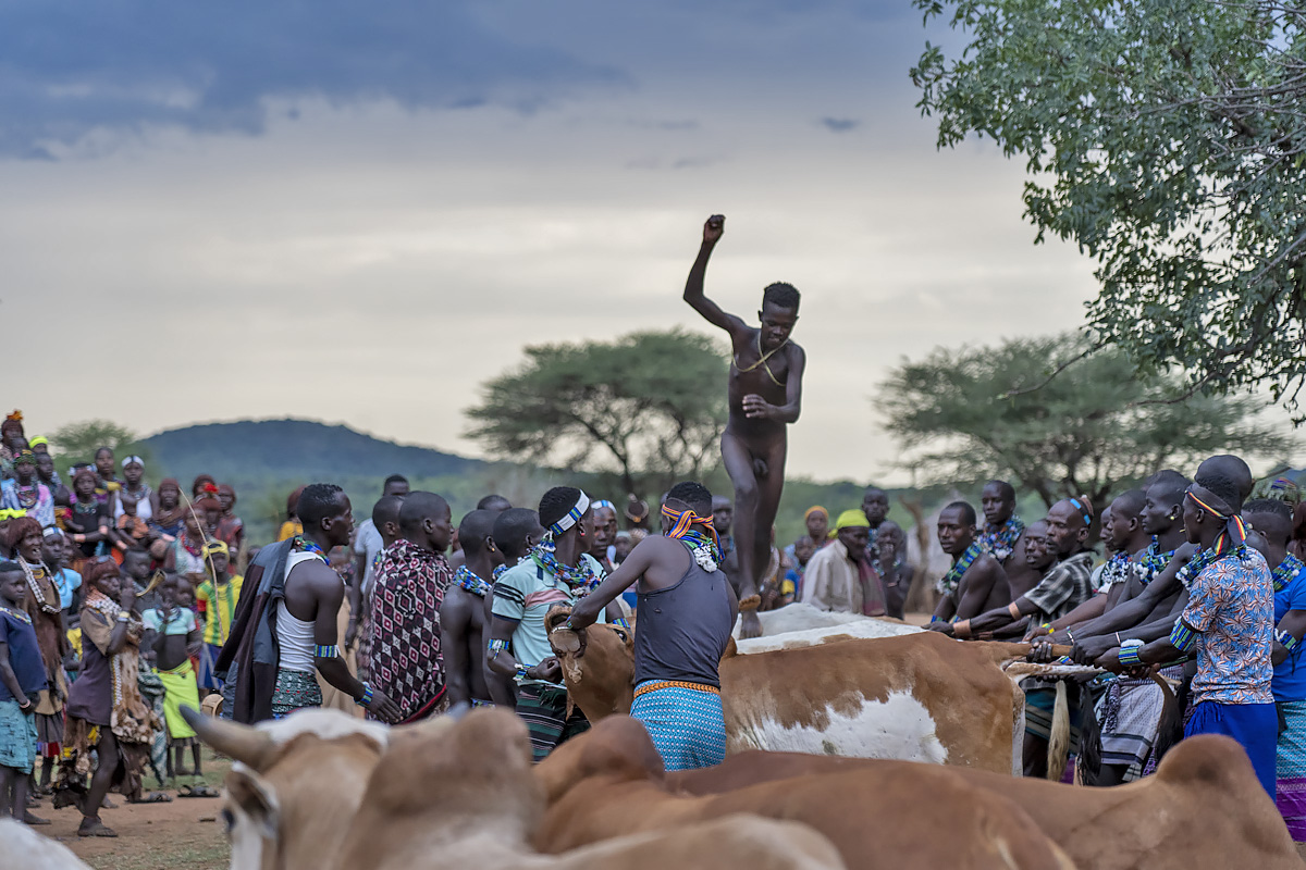 Hamer - bull jumping ceremony