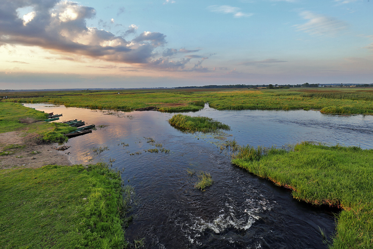 Narew National Park