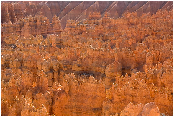 Bryce National Park