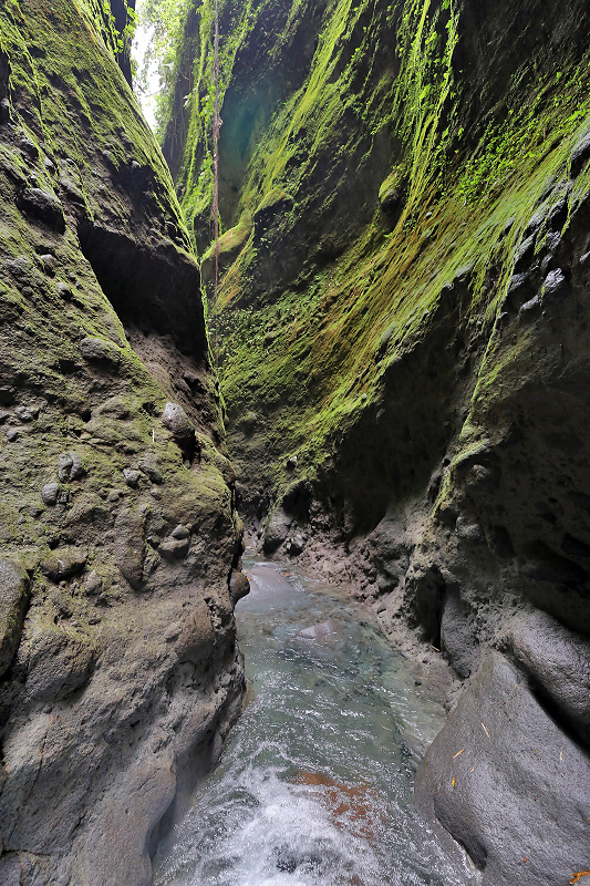 Gorges de la Falaise