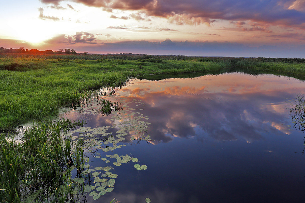 Narew National Park