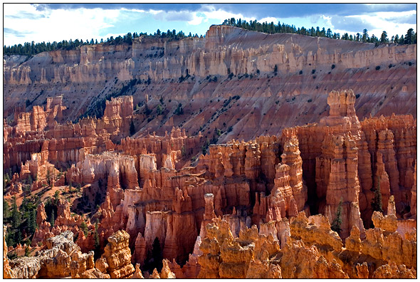 Bryce National Park