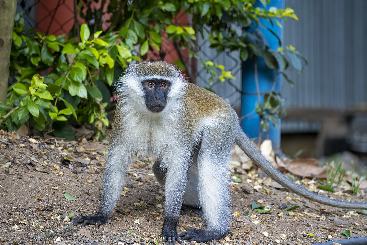 Nech Sar National Park