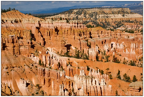 Bryce National Park