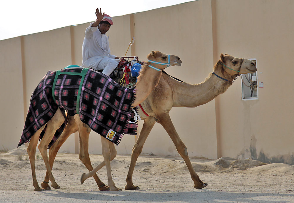 Al Shahaniyah