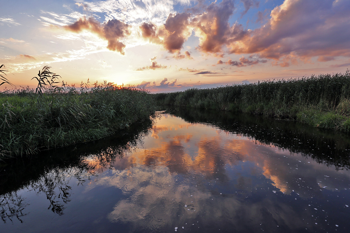 Narew National Park