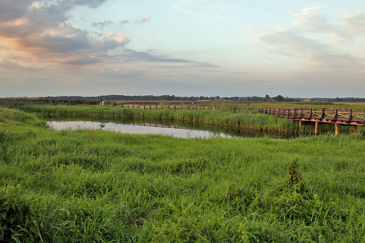 Narew National Park