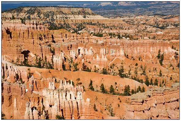 Bryce National Park