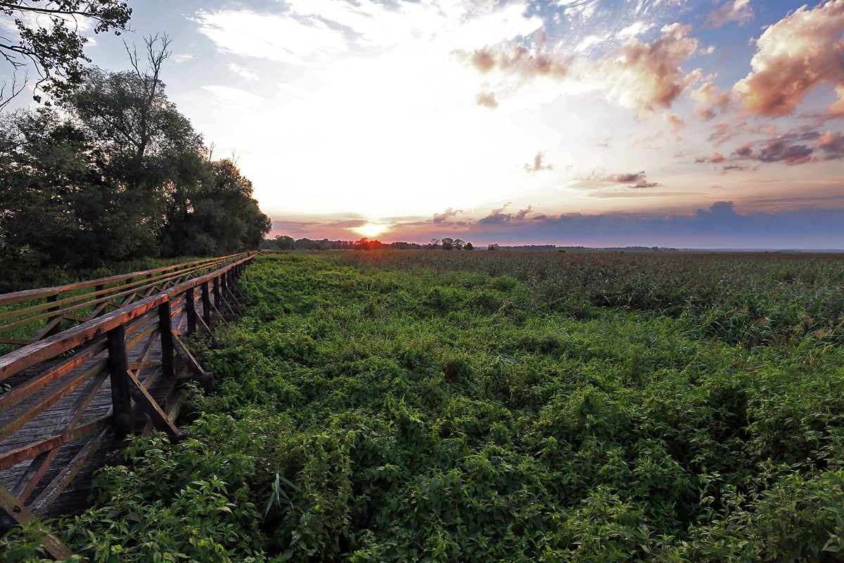Narew National Park