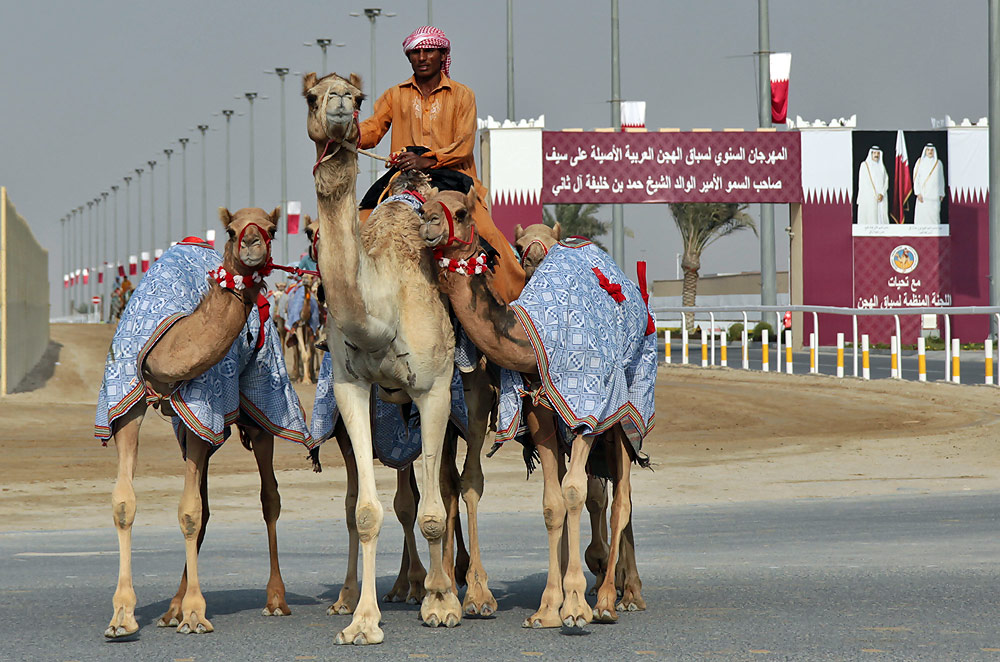 Al Shahaniyah