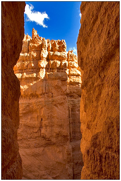 Bryce National Park