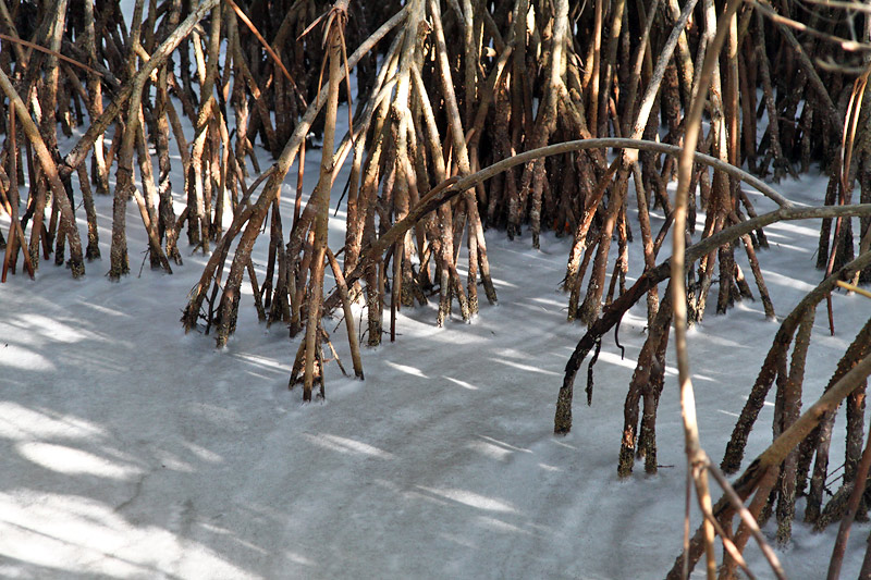 Everglades National Park