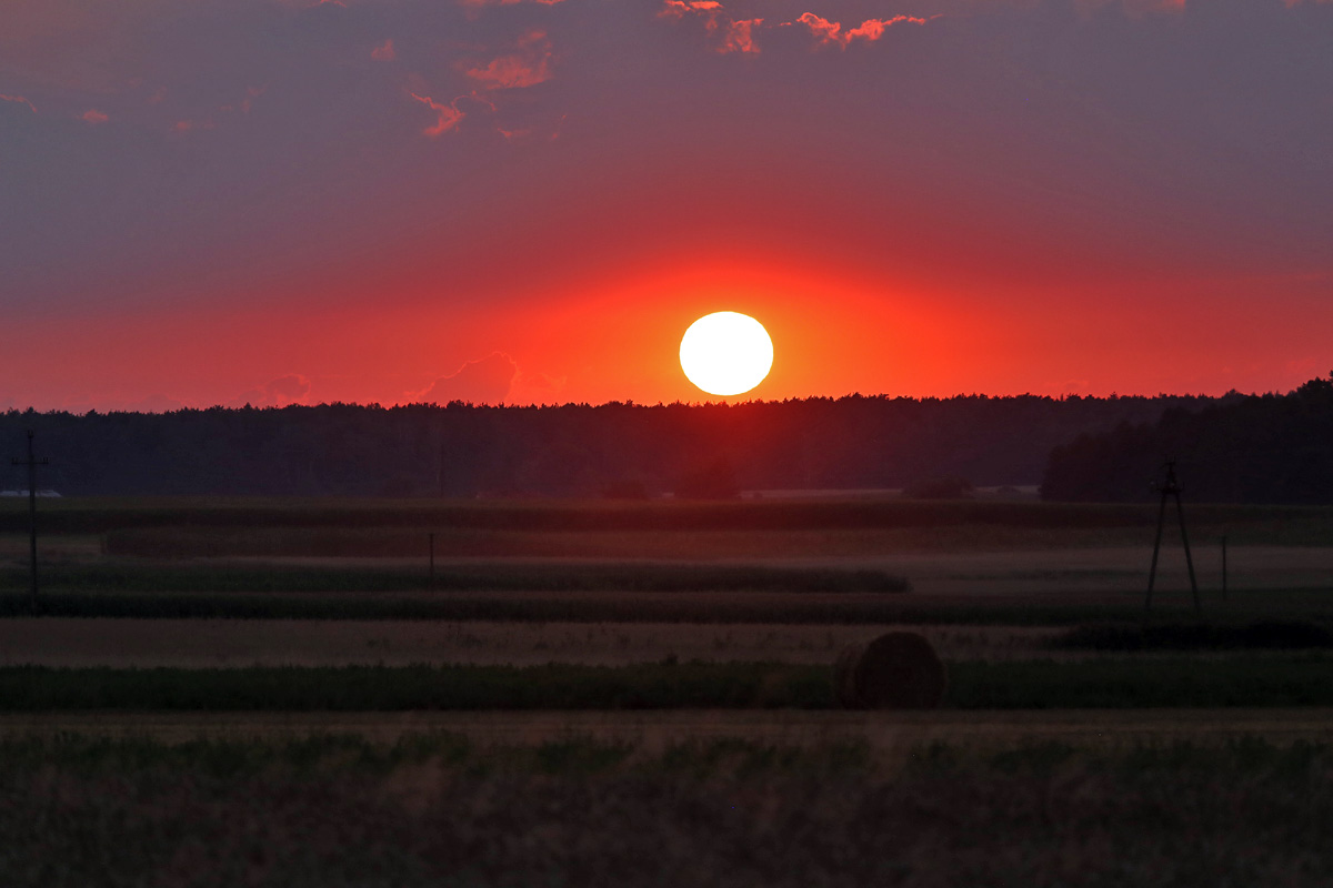 Narew National Park
