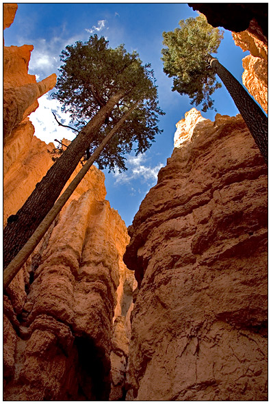 Bryce National Park