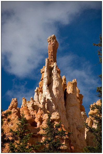 Bryce National Park