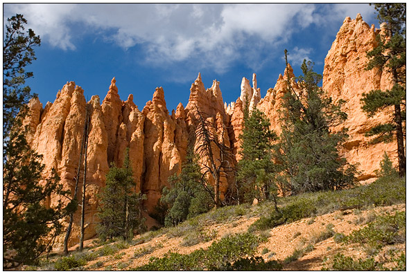 Bryce National Park