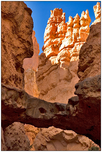 Bryce National Park